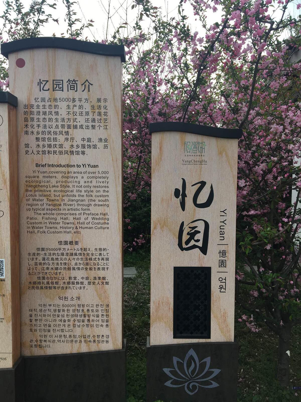 清明踏青:淀山湖 阳澄湖莲花岛