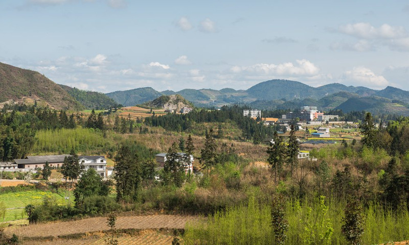 叙永县麻城镇地膜铺设成一景!