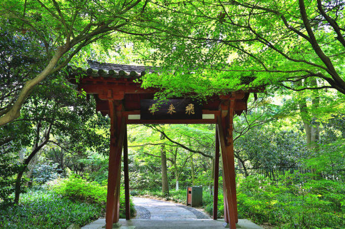 30-: :游览灵隐飞来峰景区,寻双峰插云