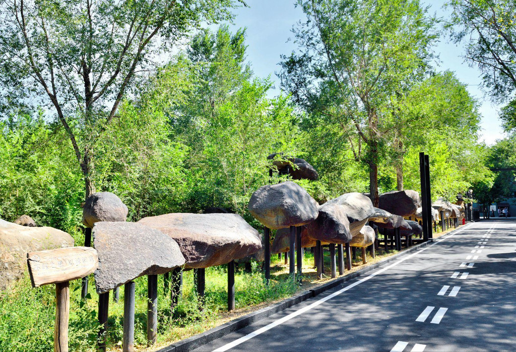      在野马古生态园,有一个专门展示陨石