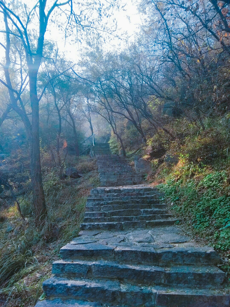 ɽȫ,ĳʡ.