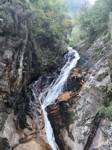 【携程攻略】上海飞来峰图片,上海飞来峰风景图片,峰