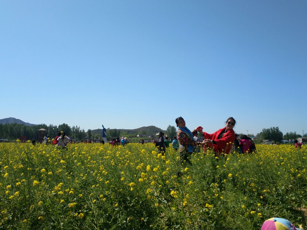 周六游狼牙山花海