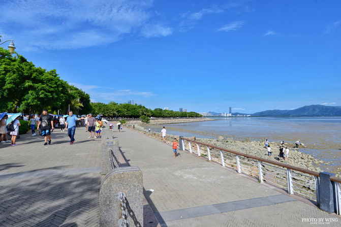 本来打算去椰林沙滩的,误打误撞来到了深圳湾公园,此时海水退潮,游客