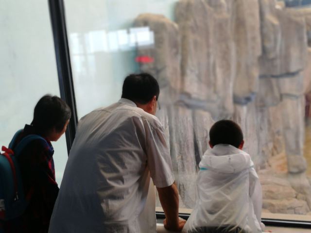 峨眉老人小孩海洋极地,极地,攻略喜欢公园馆的蜀门手游曲江法宝景点图片