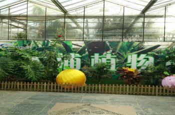 江西攻略植物园攻略,南陵门票植物园热带/游玩南陵婺源住宿热带图片