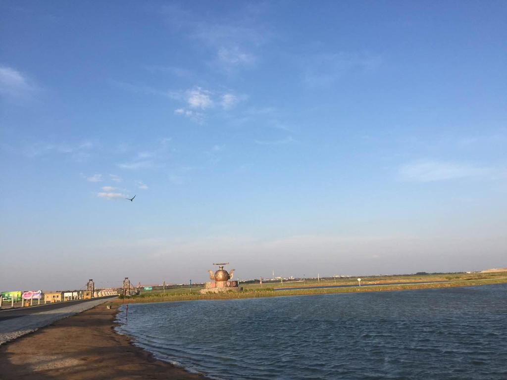 通湖草原,宁夏,沙坡头,腾格里沙漠