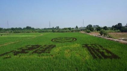 龙洲湾都市农业观光园