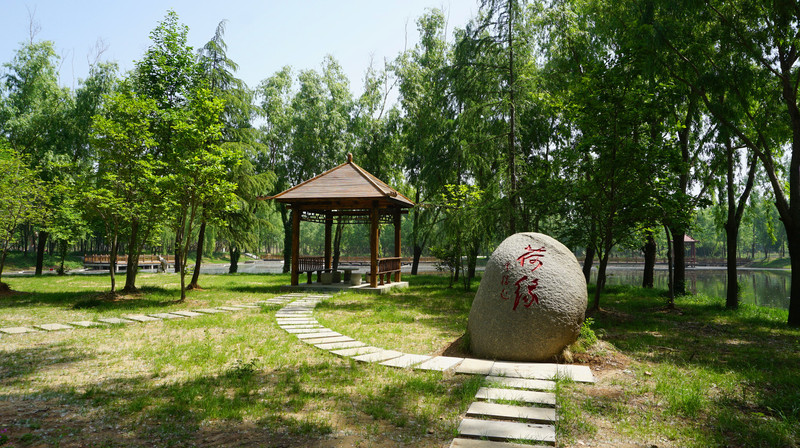 微山湖湿地红荷风景区