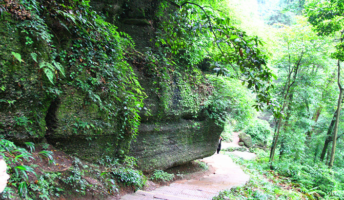 那一年"川"梭中的回忆:足迹四川青城山—四川青城山前山后山,老君阁