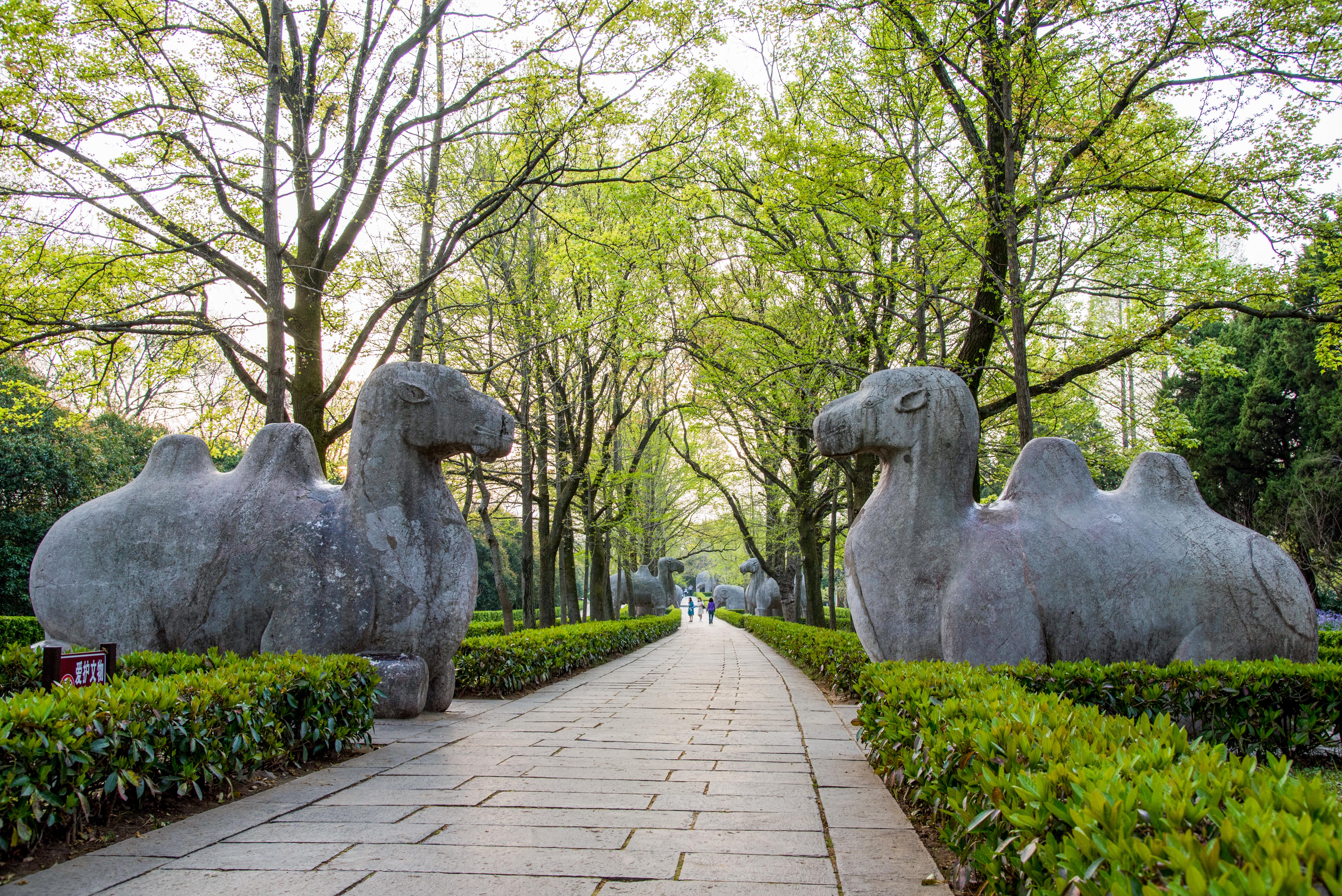 明孝陵 the ming tomb @江苏南京景点