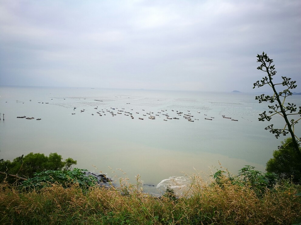 漳浦旅游攻略指南? 携程攻略社区! 靠谱的旅游攻略平台,最佳的漳浦自助游、自由行、自驾游、跟团旅线路,海量漳浦旅游景点图片、游记、交通、美食、购物、住宿、娱乐、行程、指南等旅游攻略信息,了解更多漳浦旅游信息就来携程旅游攻略。