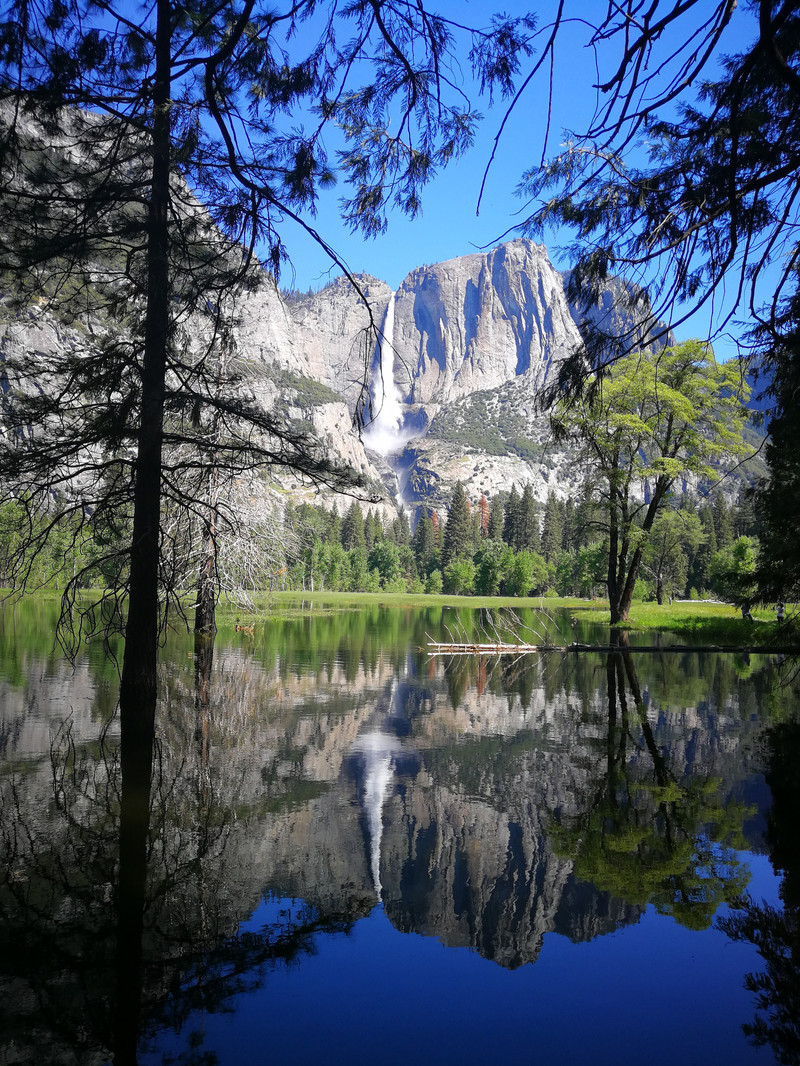 美西自驾15天家庭旅行记录(十)景点篇 — 优胜美地(yosemite)