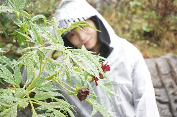 五月未央,时光荏苒,我们相遇在丽江 - 丽江游记