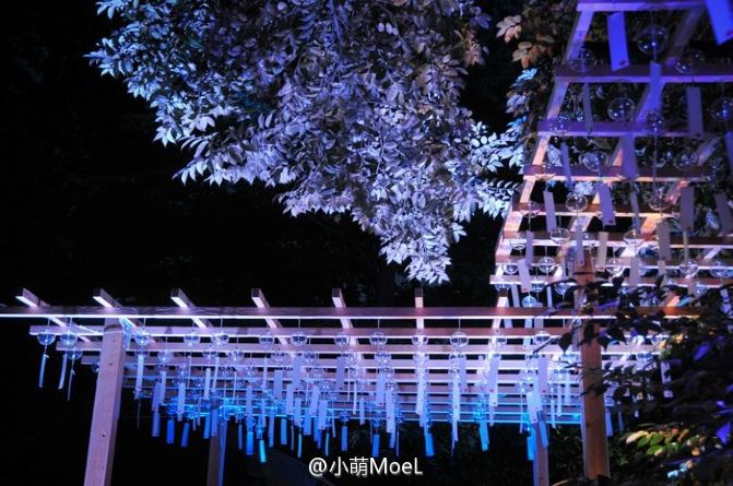 【日本】夏日风铃祭:如果风有声音 - 川越市游