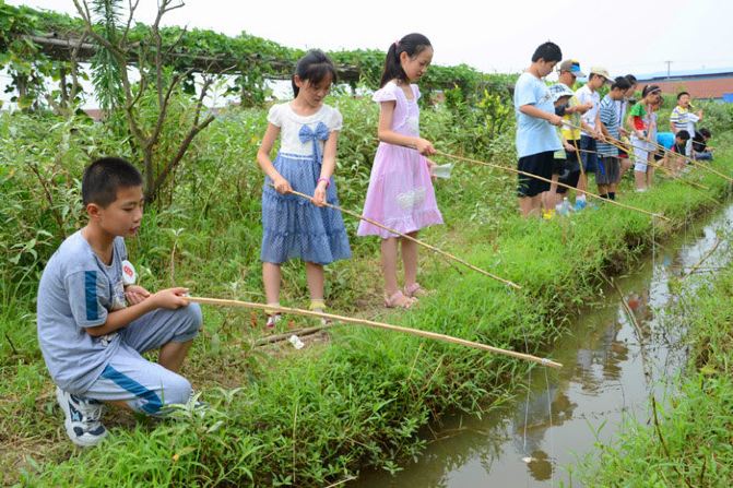 大运河扬州沿岸古镇行之四:美味邵伯小龙虾,老饕们心中的圣地