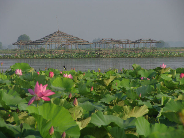 "江汉明珠"湖北汉川—让你体会2015年最棒的旅行