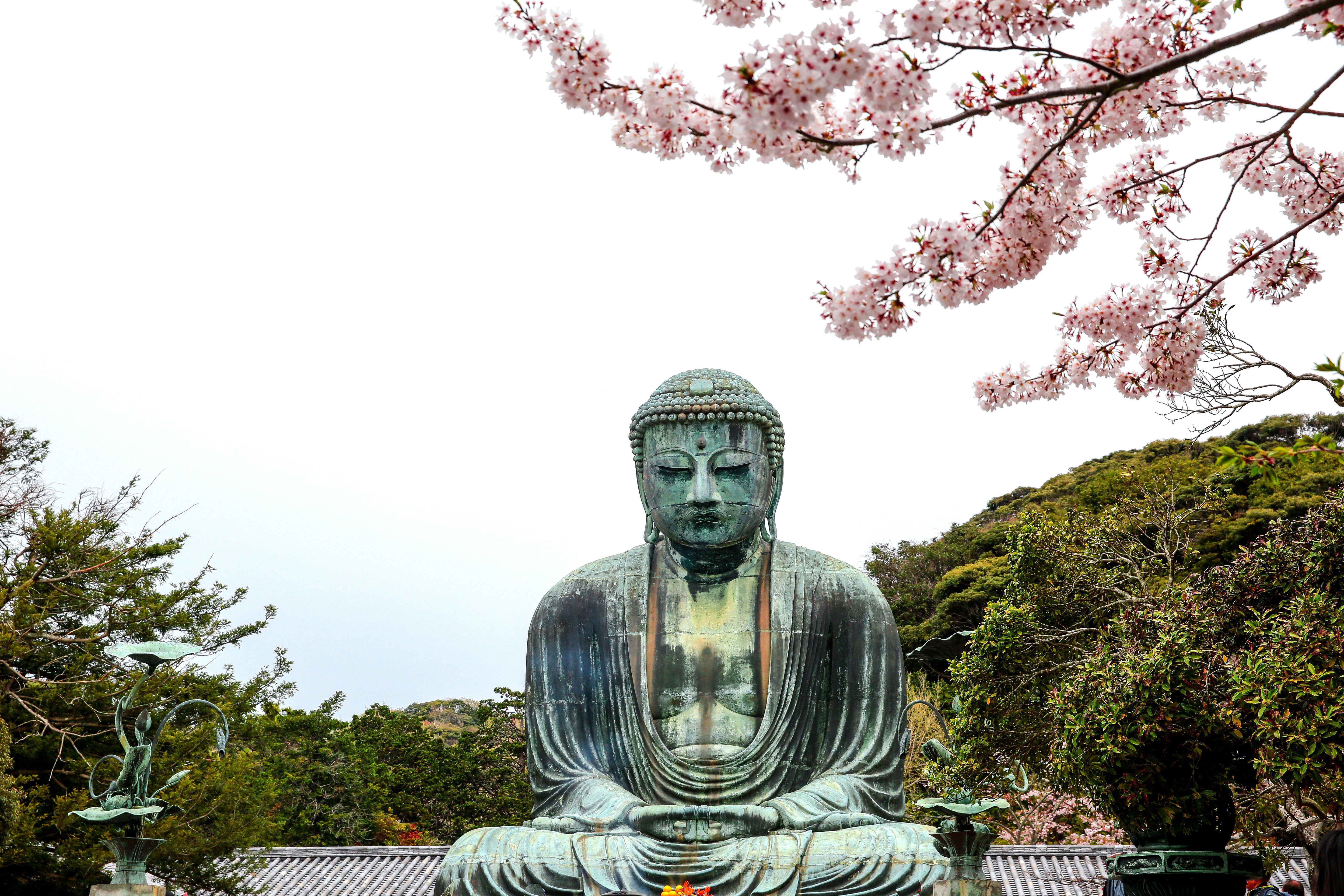 镰仓大佛 Kotokuin Great Buddha of Kamakura