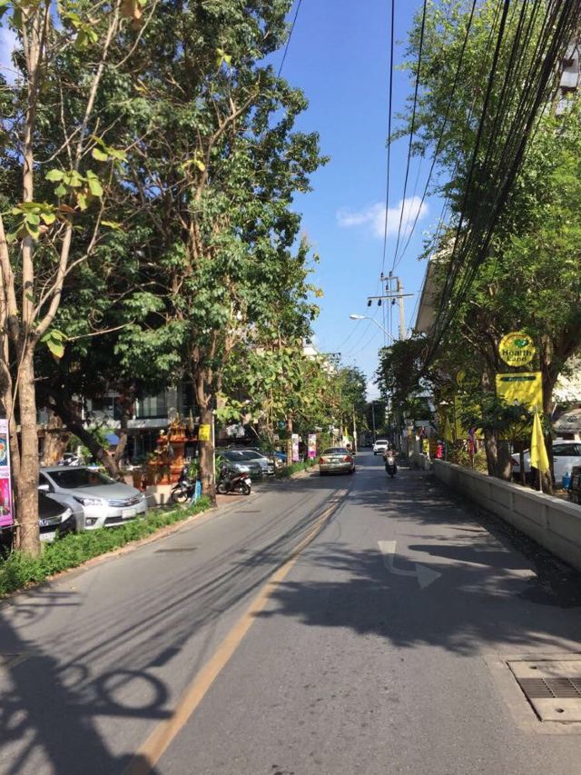 行走在路上三:阳光灿烂的春节