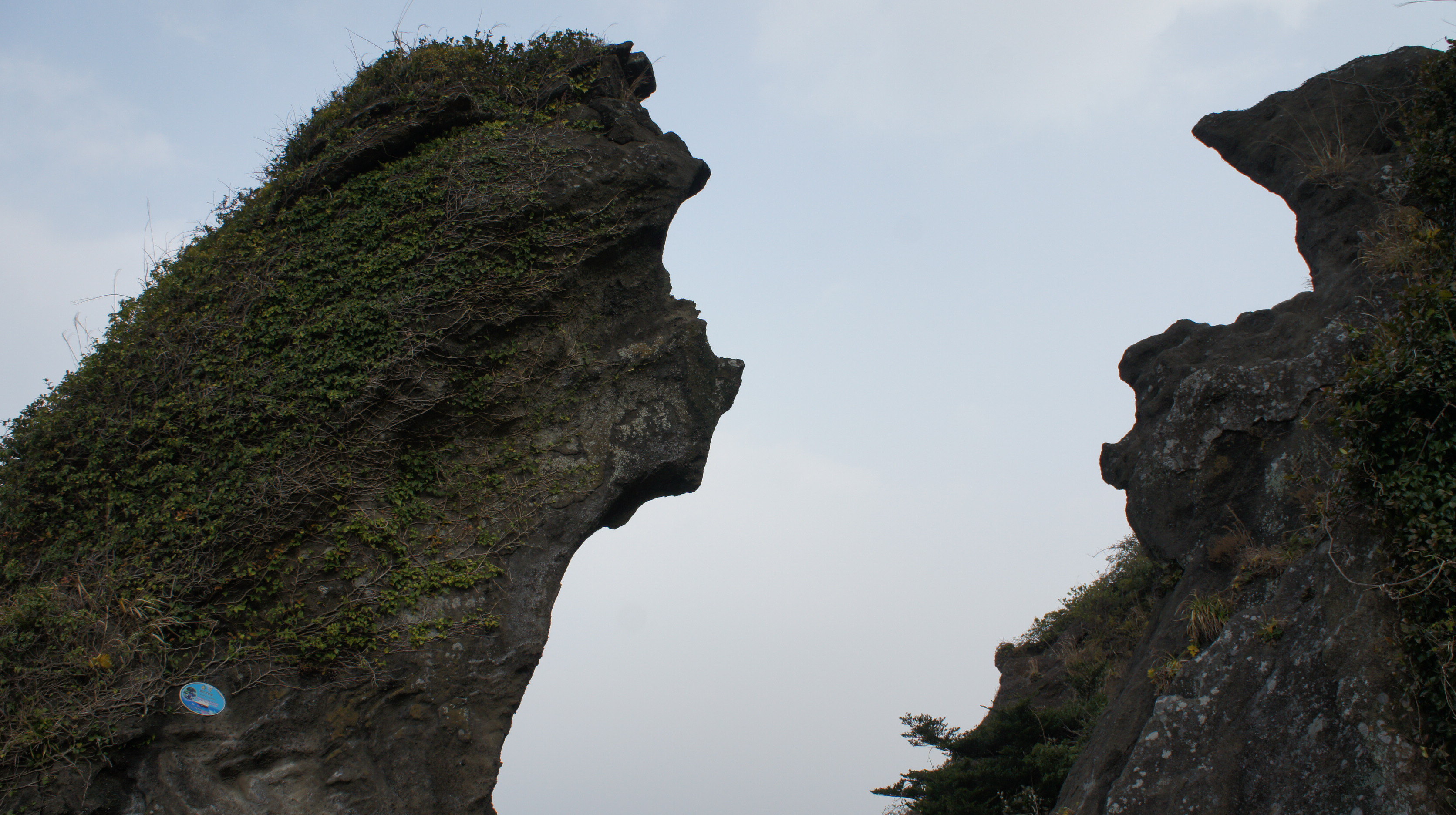 天津到韩国乘坐的BK2717航班,落地济州岛国际机场。 午饭在海边餐厅巨龟亭吃的猪骨头汤锅,其实就是骨头,豆芽,粉条,萝卜的总汇,小菜都是辣的,味道都一般,本人不吃辣,看看简单吃点就撤了。出了门口就是海滩,旁边50米就是修近烟台。朝鲜时代用的烟台有38座,观察敌情和监事海岸线的作用。天气大好,一通拍照。 饭后驱车抵达冰雪世界-3D艺术馆-冰雕展示馆。这里也是一字型路线,不能折返。很多人在冰雪世界拍吻冰照。3D是我非常喜欢的,肉眼看是图片,拍出来全是3D效果,立体感特别强,身临其境的感觉。 自然史民俗博物馆