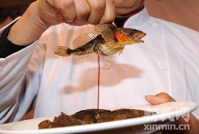 上海影视乐园好玩吗 影视城怎么玩最开心