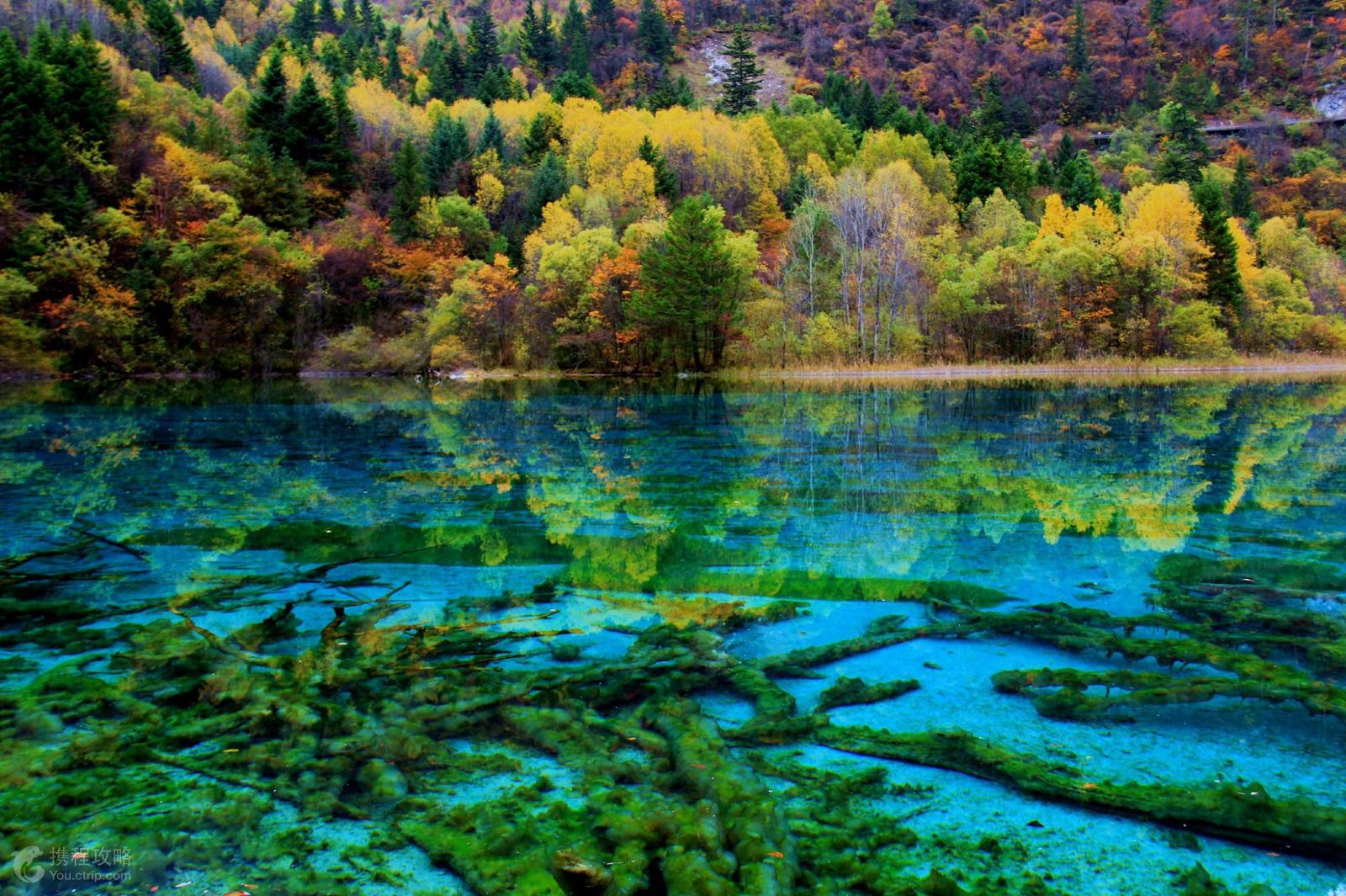 四川九寨沟+四川成都+峨眉山+黄龙+乐山+青城