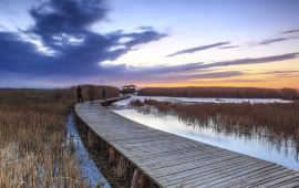 额济纳旗天气预报,历史气温,旅游指数,额济纳旗