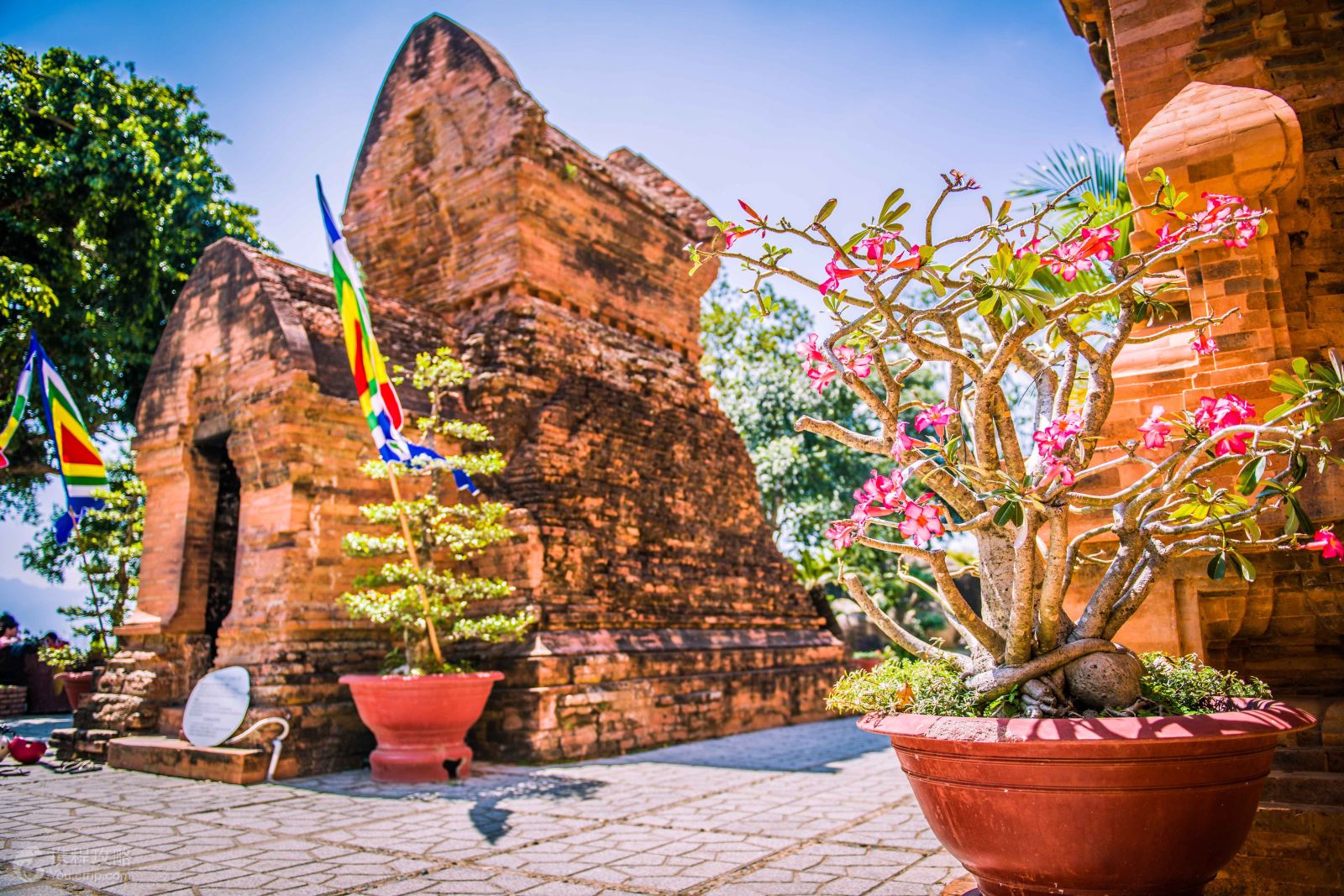 乐园游·越南+芽庄6日5晚半自助游·全程国际