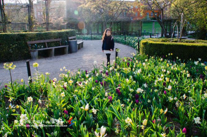 牵着小手去旅行之童话丹麦亲子游攻略 - 丹麦游