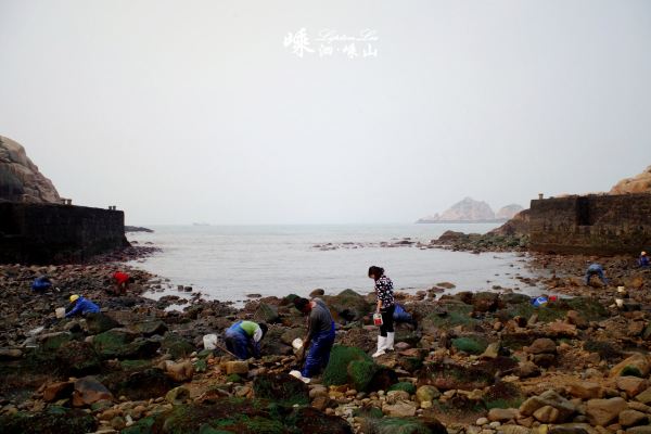 photo at 枸杞岛北岙码头 4月的嵊泗之旅,去了三个岛,泗礁、嵊山和枸杞,第一次在嵊山和枸杞看到清澈的汪洋大海!恩,内心是激动的!!! 泗礁的海水4月的时候还比较黄,据说夏天沙子沉下去后会干净一些,我们去了六井潭、和尚套景区和东海渔村,没有去的景区有大悲山、基湖沙滩等。 嵊山是嵊泗岛的最东边,清晨可以早点出发,到东崖绝壁日出,正午可以去后头湾看无人村,为什么正午去,因为无人村的旁边是一大片墓地,下午可以在嵊山岛码头的避风港看船,然后沿着三礁江大桥一路晃到枸杞岛看沙滩、玩水~ 枸杞岛是贻贝之乡,海鲜圣