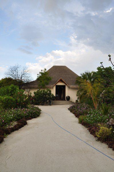 马尔代夫神仙珊瑚浪漫梦幻之旅 - 神仙珊瑚岛游