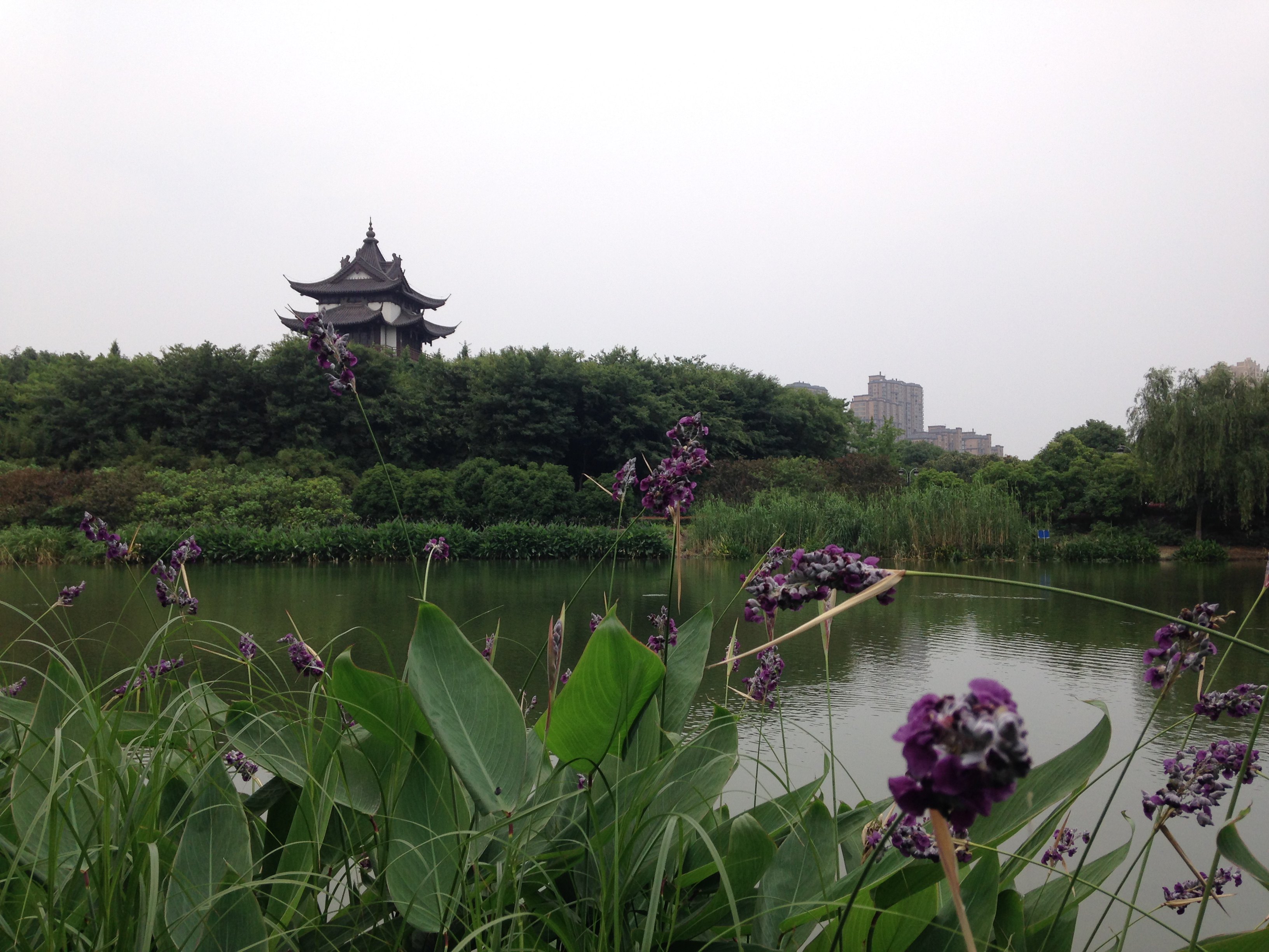 常州金坛区一日游:愚池,顾龙山,宝塔寺,长荡湖,普门寺,水街