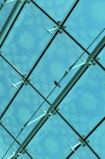 【阿联酋】迪拜机场转机实用心得(免税购物+免