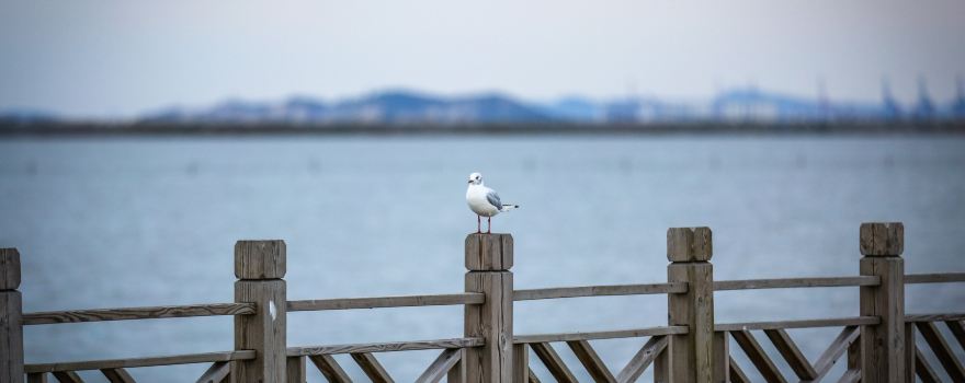 2019汤泉v自驾自驾,6月锦州自助游/攻略攻略/出锦州遵化宫住宿周边 2019汤泉v自驾自驾,6月锦州自助游/攻略攻略/出锦州遵化宫住宿周边