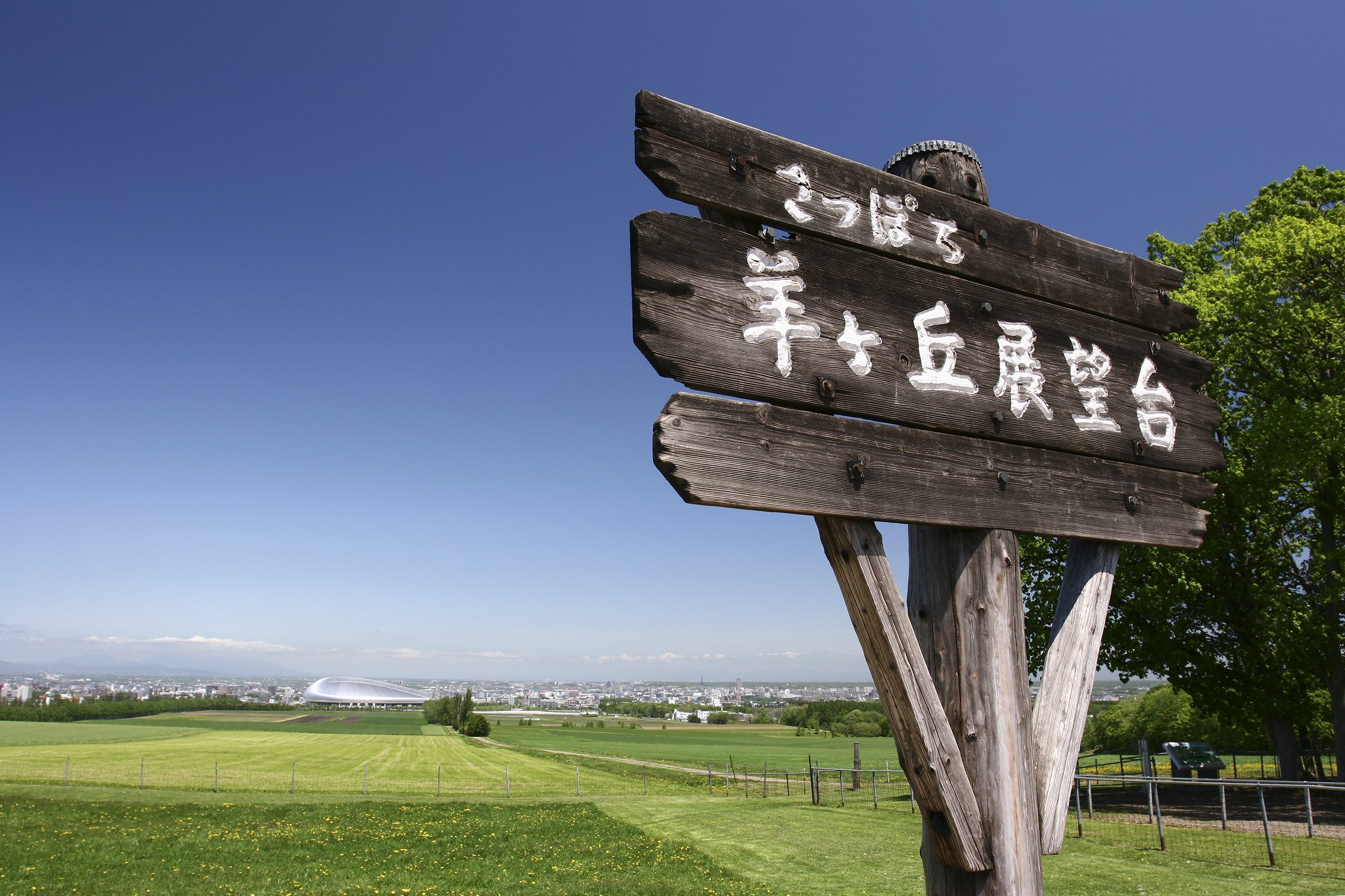 羊之丘展望台 Hitsujigaoka Observation Hill 日本北海道札幌景点