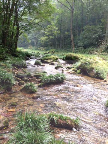 金鞭溪大峡谷 携程网