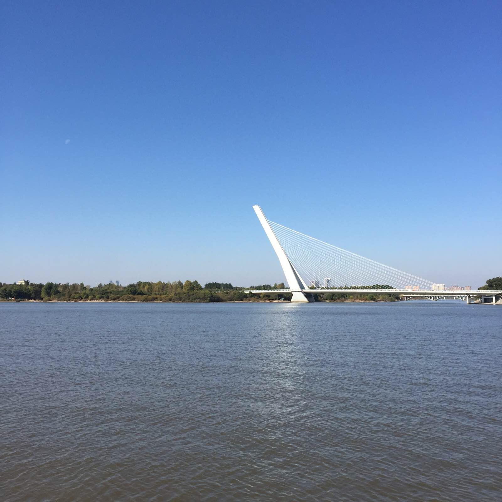 斜拉桥 太阳岛风景区