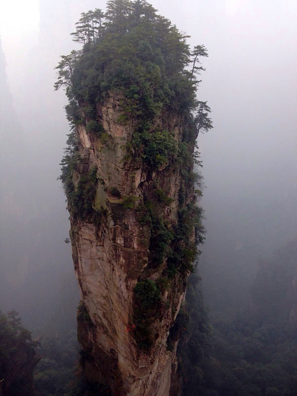 南天一柱,电影《阿凡达》中哈利路亚山的取景地 张家界天子山