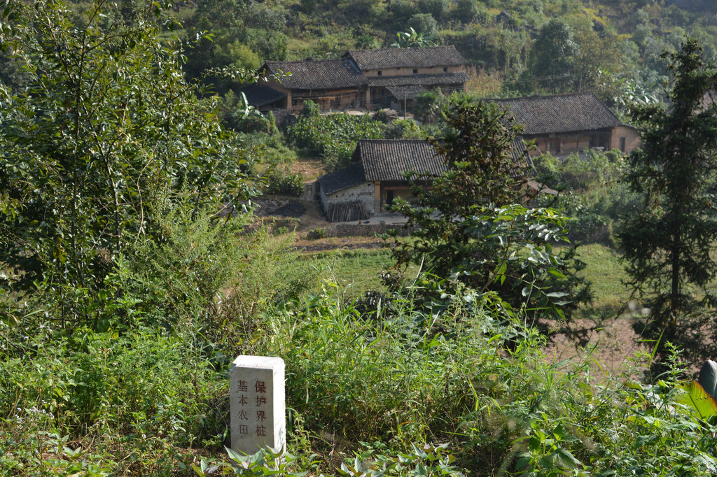 广南县董堡乡里标村