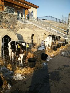 鹿泉图片,鹿泉风景图片,鹿泉旅游照片\/景点图片