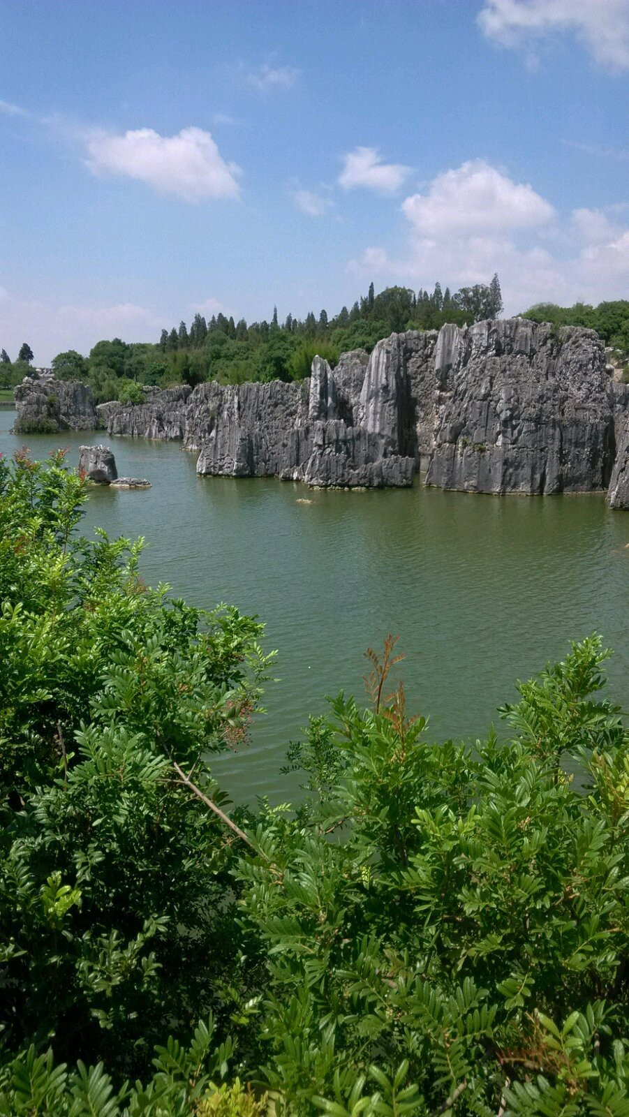                 有水,有山,有树