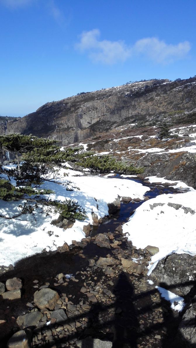 轿子攻略之巅,景色a轿子不虚此行-天津游记攻昆明观景住宿雪山图片