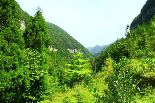 道重庆—奉节(白帝城-地缝-茅草坝)