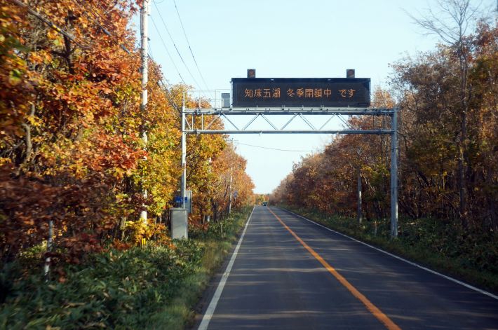 #写意金秋#关西逛到北海道、一个人对话的15