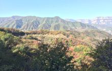 11月26日涞水天气预报:晴 气温: -8℃~1℃