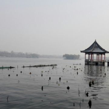 大明湖的夏雨荷_大明湖一年收入多少钱(3)