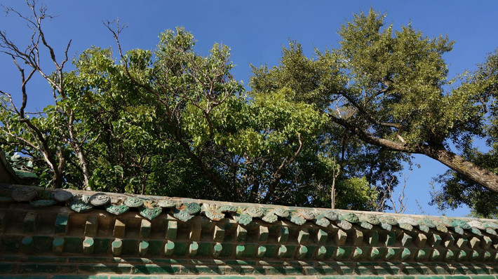 夕汐西行 -- 3 青海湖 塔尔寺(1)