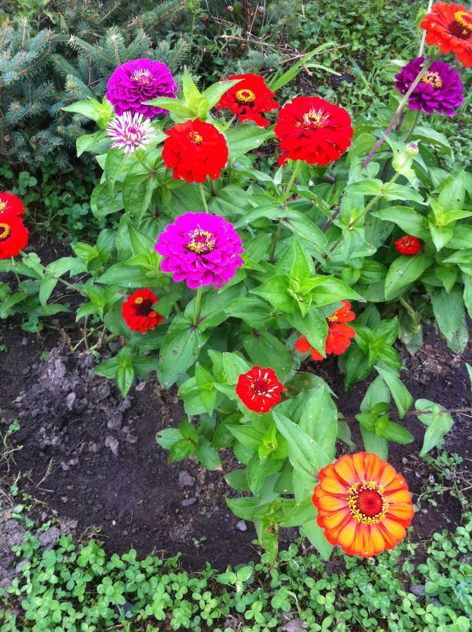 2014年哈尔滨周边自驾游--五常凤凰山 - 五常游