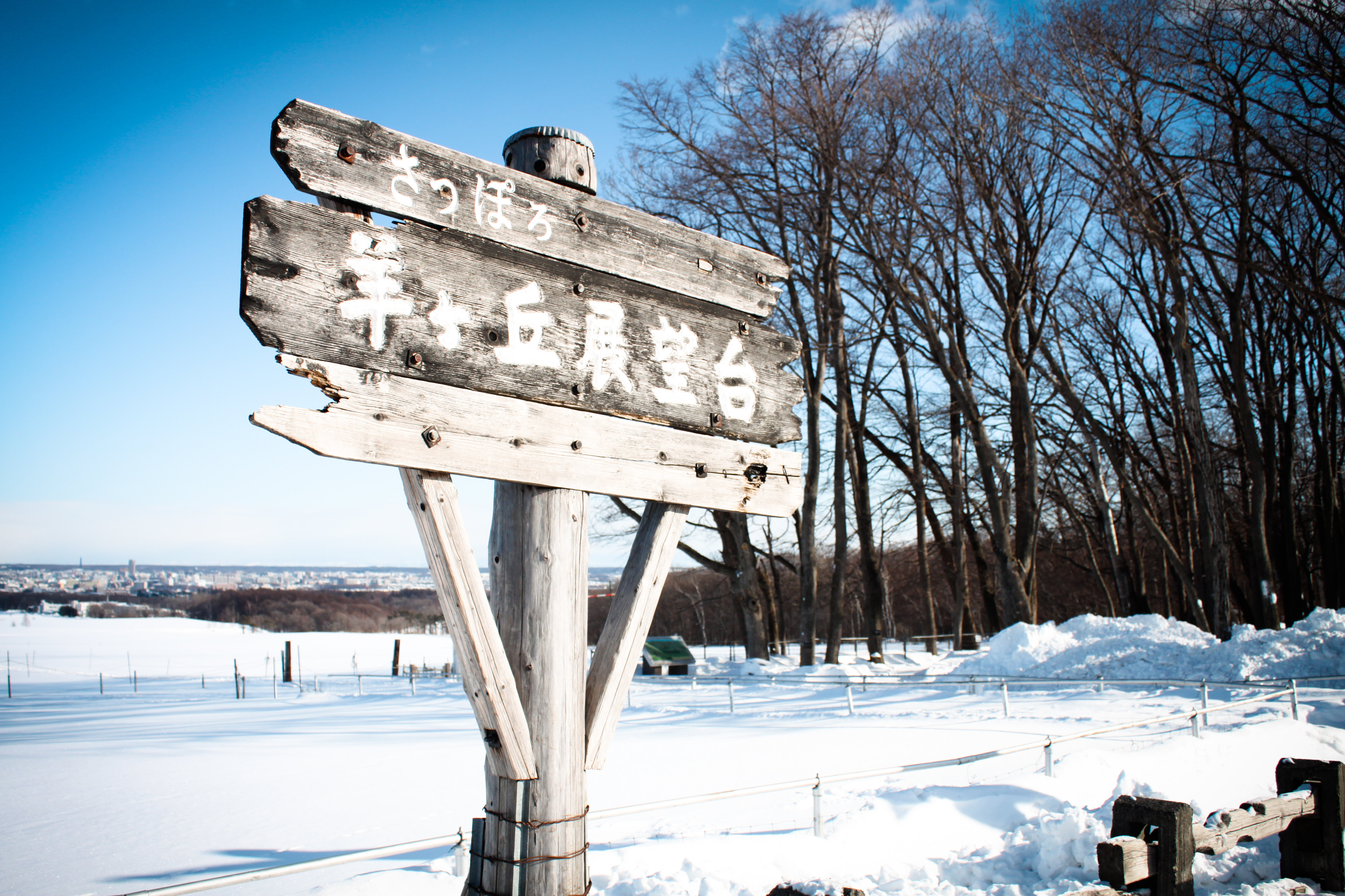羊之丘展望台 Hitsujigaoka Observation Hill 日本北海道札幌景点