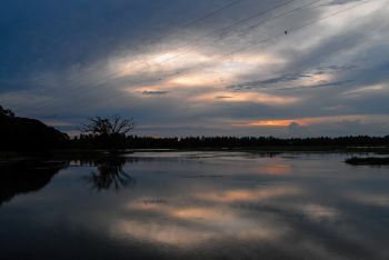 斯里兰卡-美丽Tissa湖和汹涌印度洋(3) - 马特勒